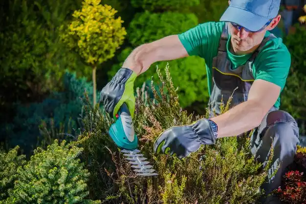 landscaping services Radcliff